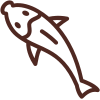 Dried Fish
